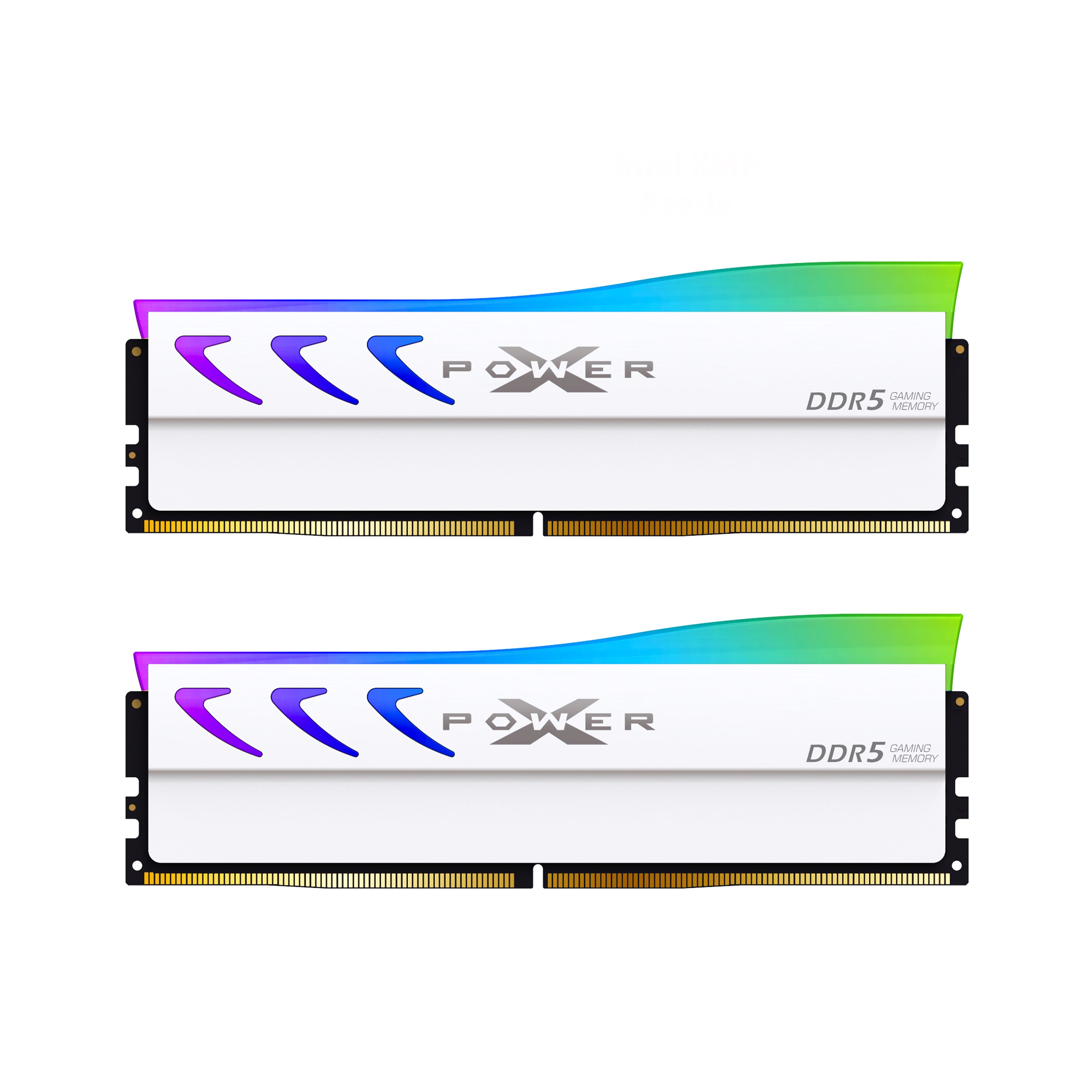 Silicon Power Storm RGB DDR5 6000MT/s (PC5-48000) CL38 64GB(32GBx2) Dual Pack 1.35V Desktop Unbuffered DIMM