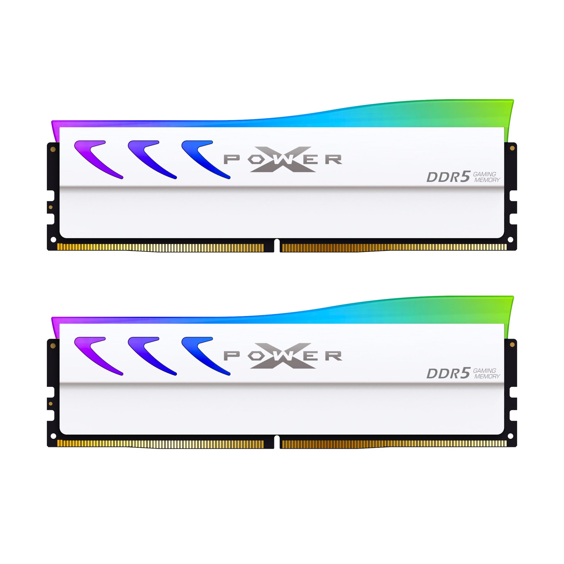 Silicon Power Storm RGB DDR5 6000MT/s (PC5-48000) CL36 32GB(16GBx2) Dual Pack 1.35V Desktop Unbuffered DIMM
